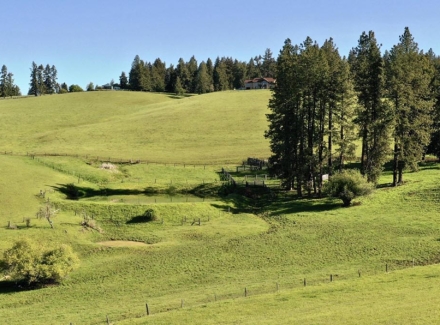 idaho ranches for sale henry cattle ranch