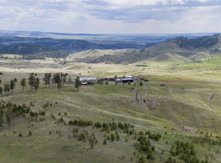 montana cattle ranch for sale noon bear ranch