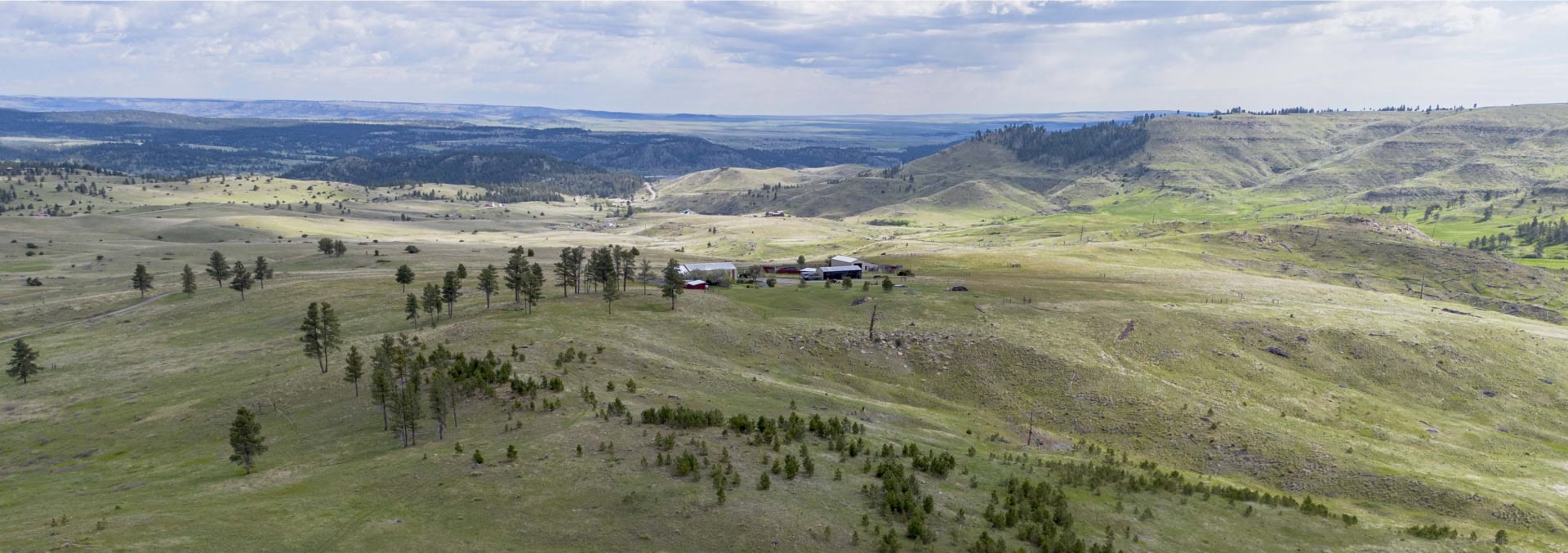 montana cattle ranch for sale noon bear ranch