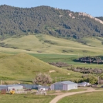 montana cattle ranches for sale plum creek ranch