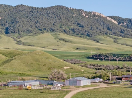 montana cattle ranches for sale plum creek ranch