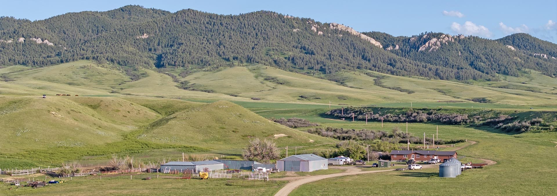 montana cattle ranches for sale plum creek ranch
