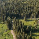 montana homes for sale shelterwood lodge
