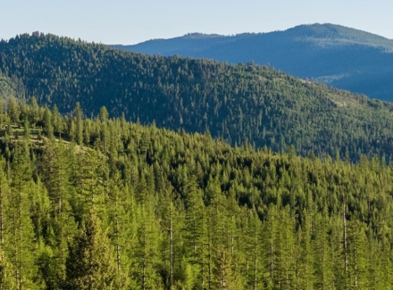 montana land for sale coon hollow retreat