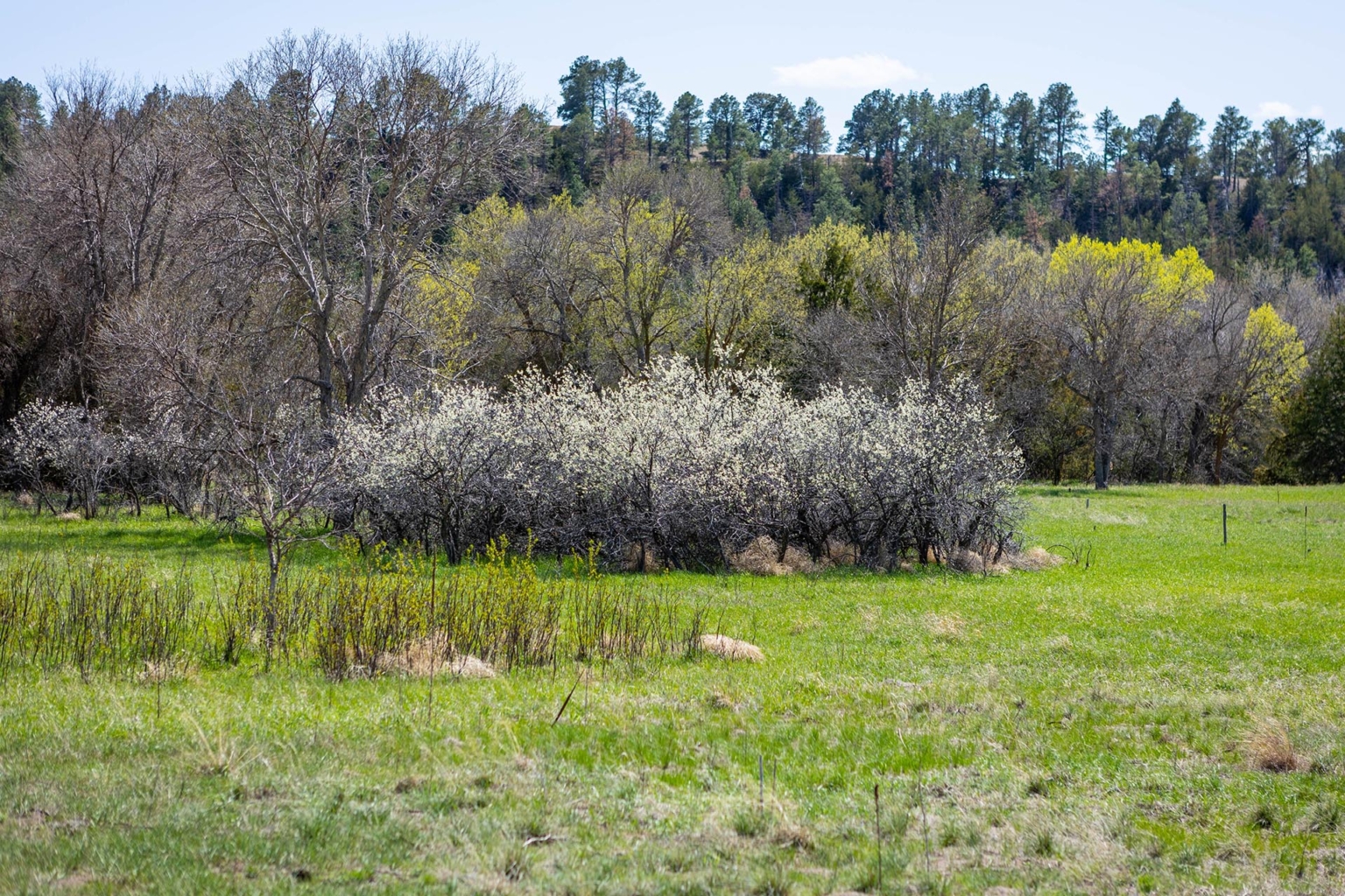 Niobrara River Refuge | Nenzel Nebraska | Fay Ranches