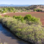 new mexico farms for sale nick of time farm