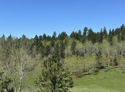 south dakota land for sale boles canyon