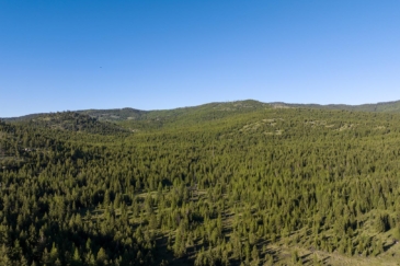 timber land for sale montana coon hollow retreat