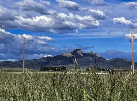 wyoming farms for sale heart mountain homestead