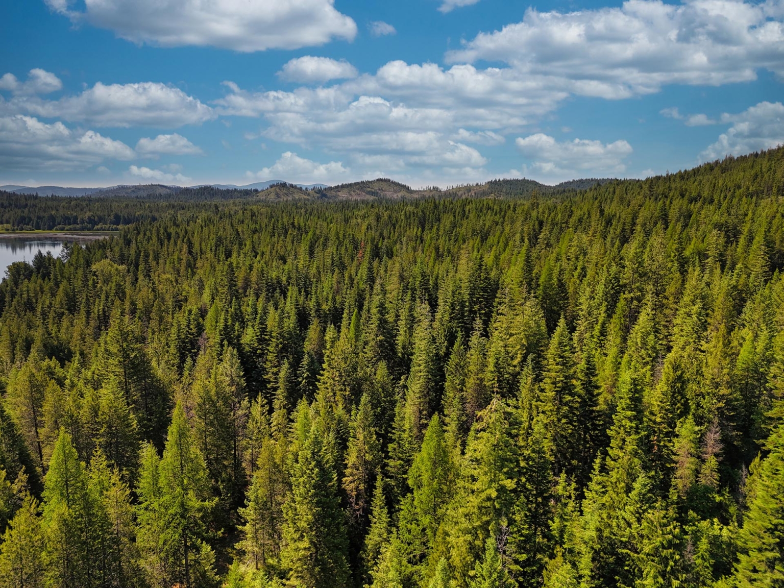 Mountain Meadows Lake | Newport Washington | Fay Ranches