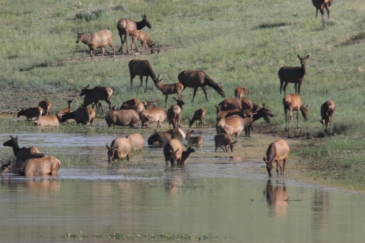 big game hunting land for sale colorado mountain lake