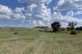 bridget bullinger north dakota broker family 4x4