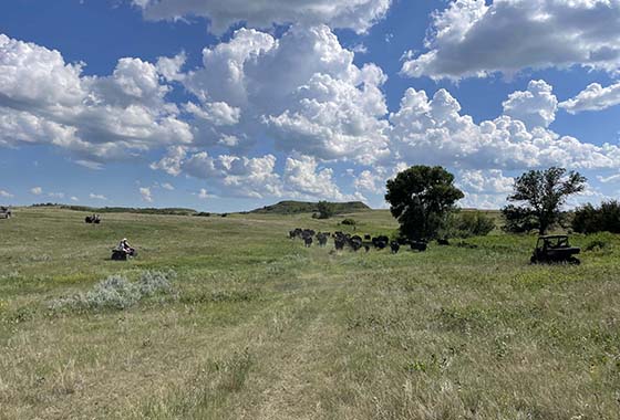 bridget bullinger north dakota broker family 4x4