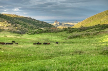 cattle ranches for sale colorado mountain lake