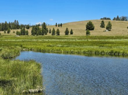 montana ranch for sale hope creek ranch