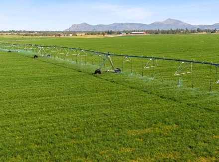 oregon ag production land for sale houston lake pivot