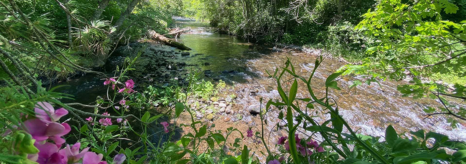 oregon property for sale little butte creek hideaway