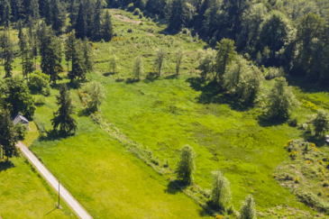 washington investment opportunity for sale the ponds