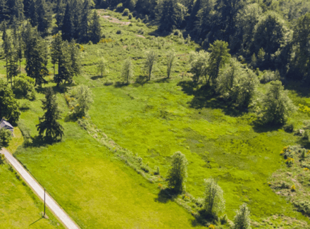 washington investment opportunity for sale the ponds