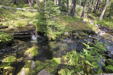 water frontage for sale montana jensen creek hideaway