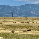 Colorado ranch land for sale vucetich ranch