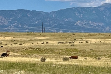 Colorado ranch land for sale vucetich ranch