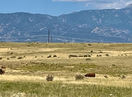 Colorado ranch land for sale vucetich ranch