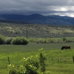 Idaho ranching property for sale Cow Creek Ranch