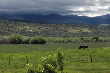 Idaho ranching property for sale Cow Creek Ranch