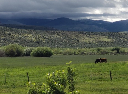 Idaho ranching property for sale Cow Creek Ranch