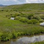 colorado fishing ranches for sale yampa headwaters ranch