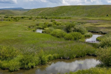 colorado fishing ranches for sale yampa headwaters ranch