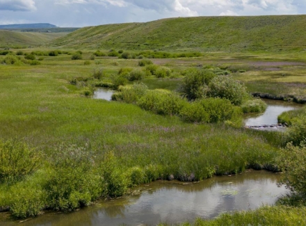 colorado fishing ranches for sale yampa headwaters ranch