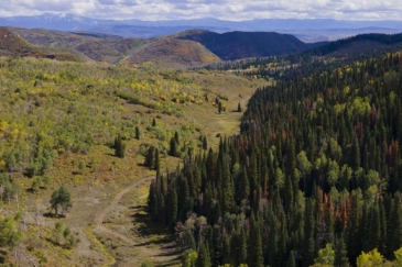 colorado ranches for sale doc utterback ranch