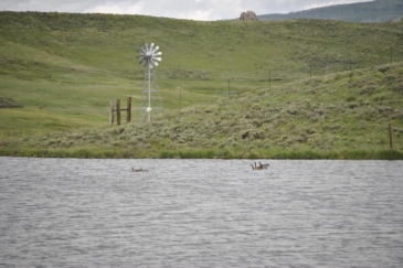 fly fishing land for sale colorado yampa headwaters ranch