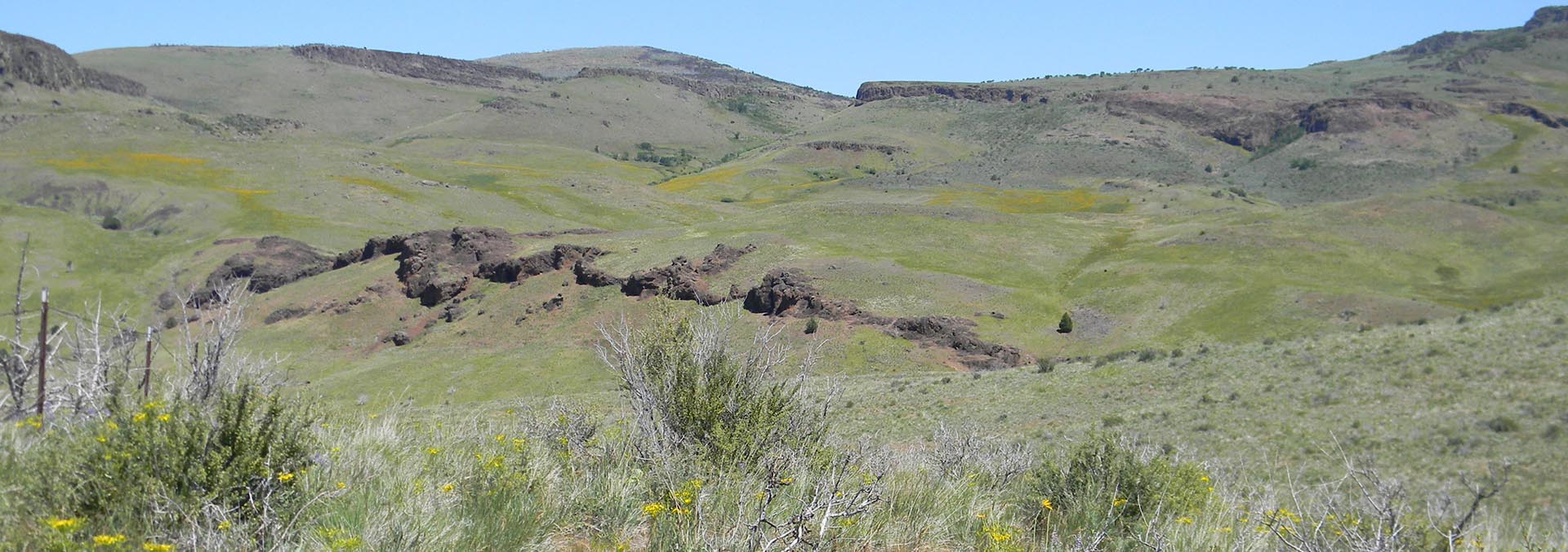 idaho cattle ranches for sale Cow Creek Grazing Ranch