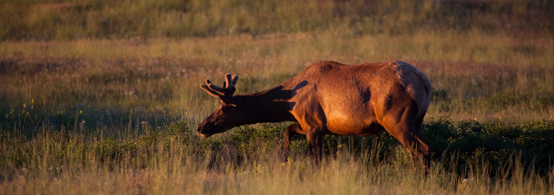 montana land for sale maclay ranch