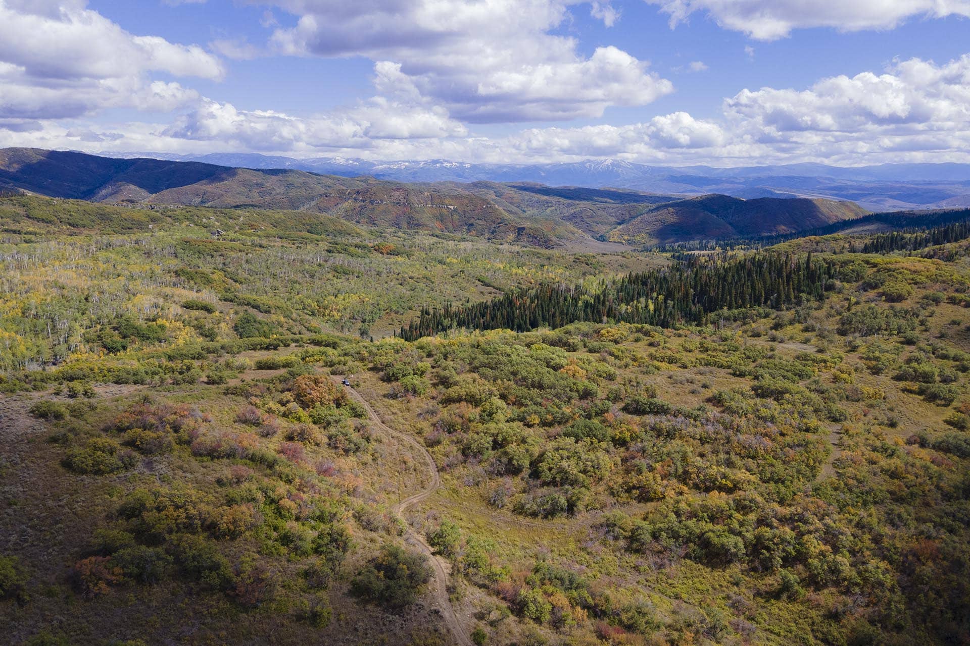 mountain lion hunt colorado doc utterback ranch