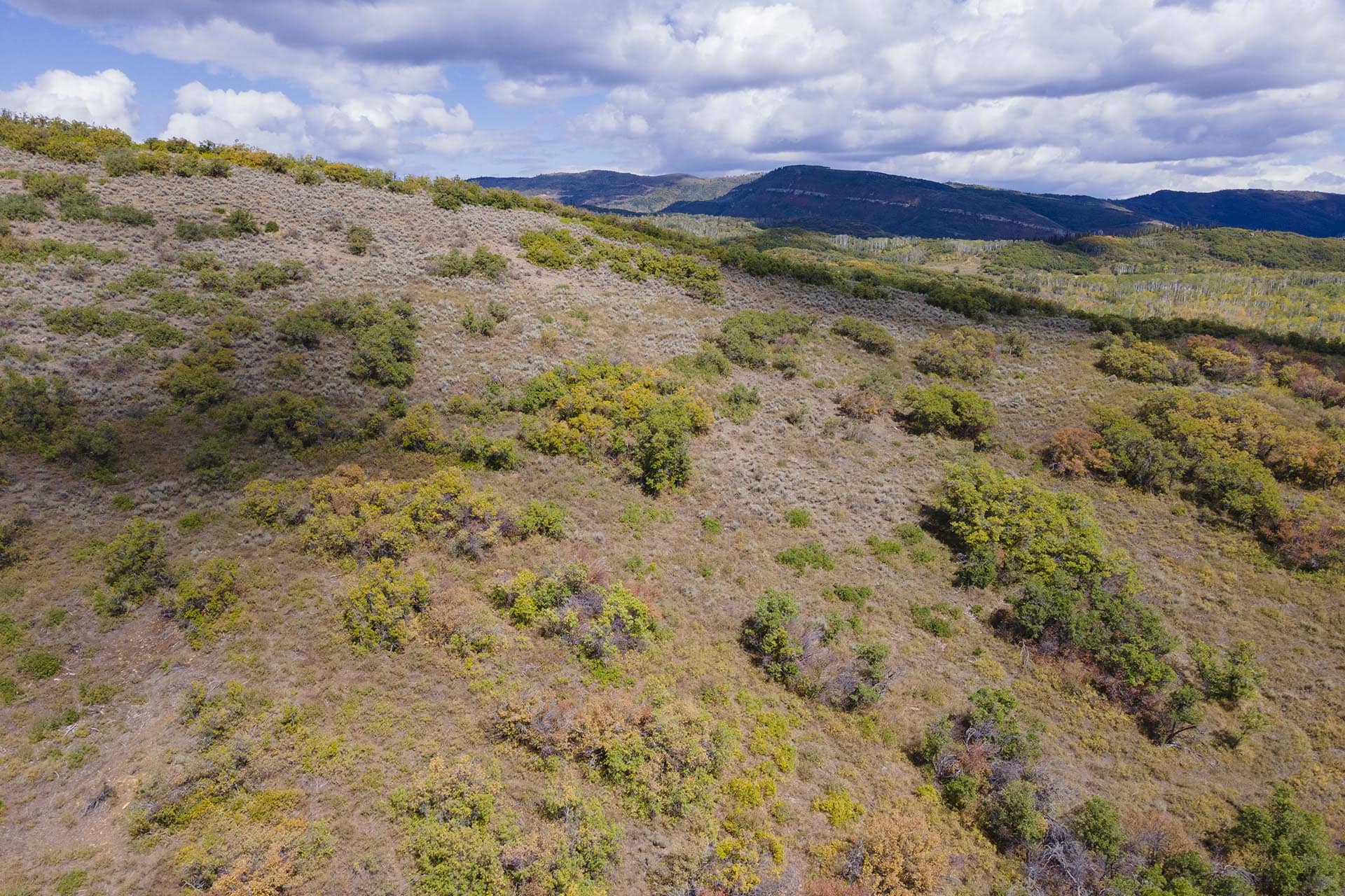 mule deer hunts colorado doc utterback ranch