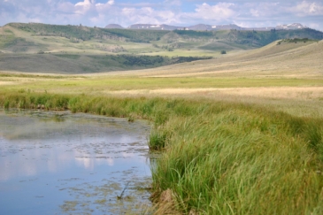 water frontage for sale colorado yampa headwaters ranch