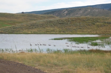 waterfowl hunting land for sale colorado yampa headwaters ranch