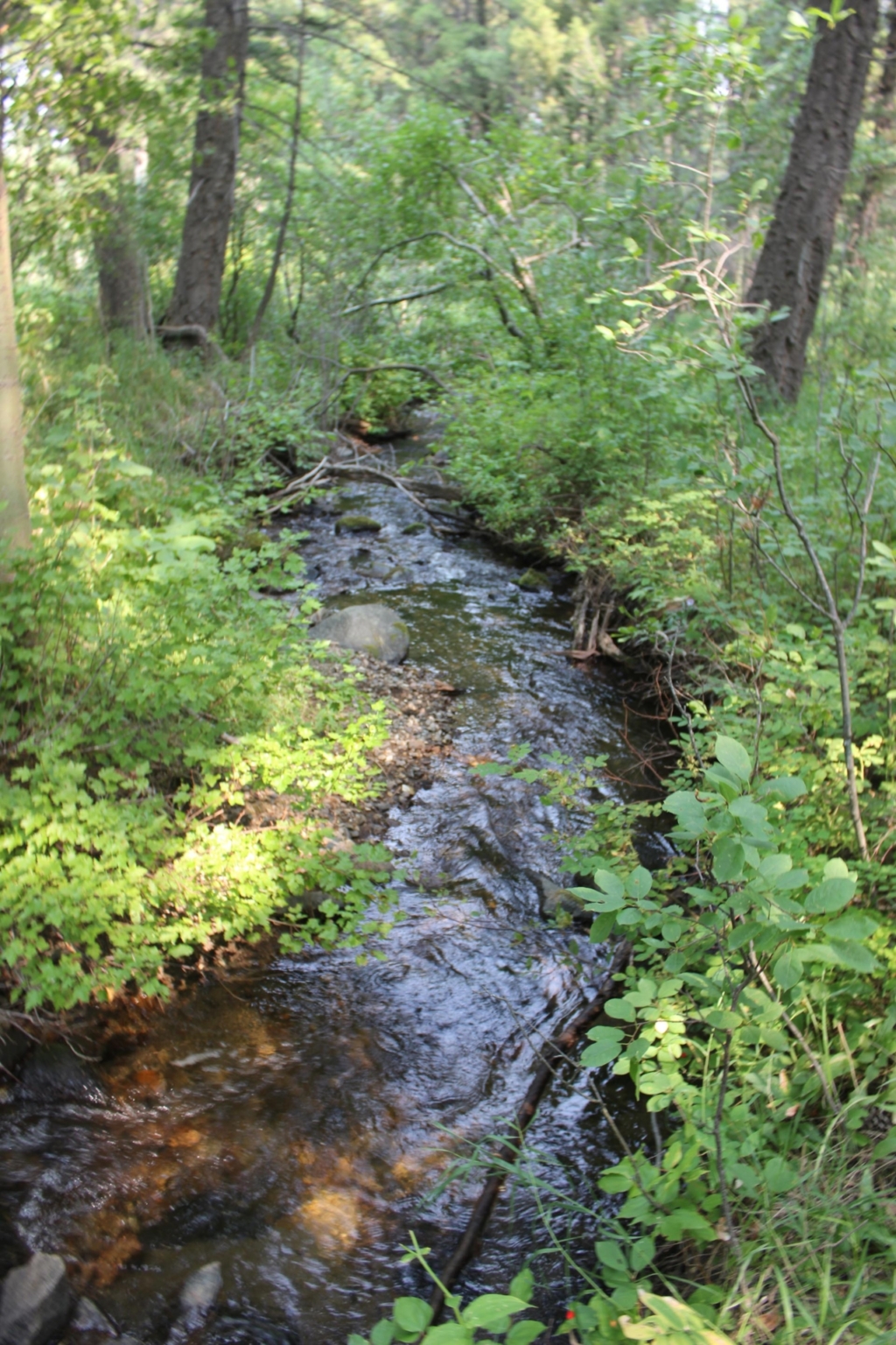 Two Creeks Montana Mountain Ranch | Helena | Fay Ranches