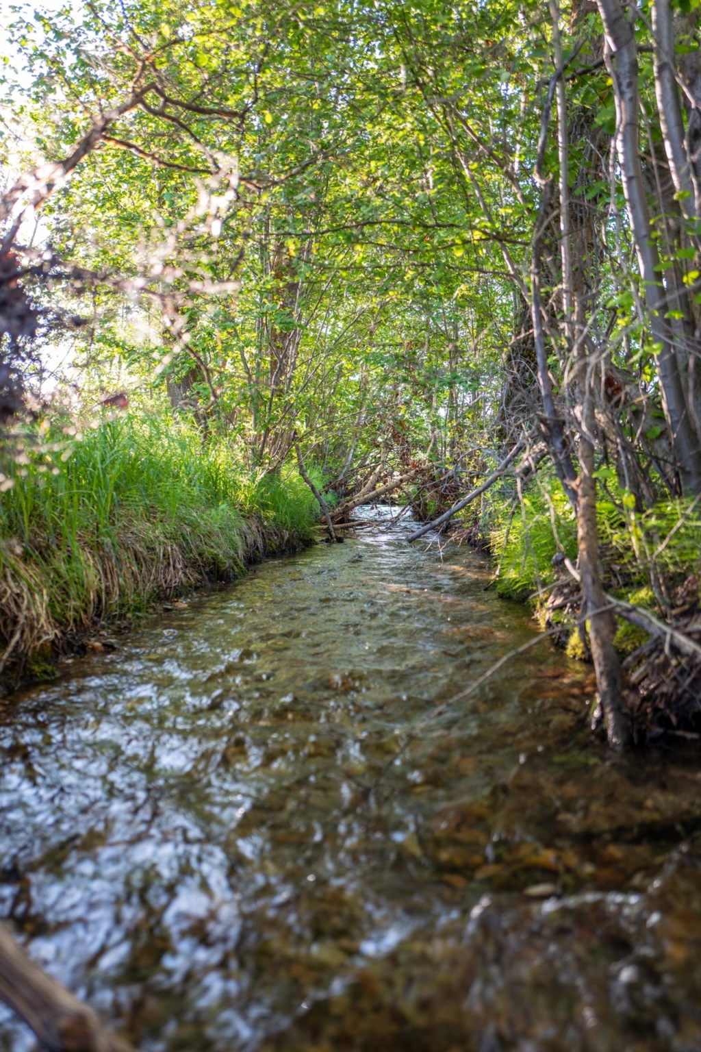 Sky Range Ranch | Missoula Montana | Fay Ranches