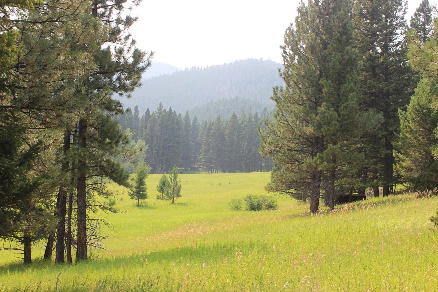 Two Creeks Montana Mountain Ranch | Helena | Fay Ranches