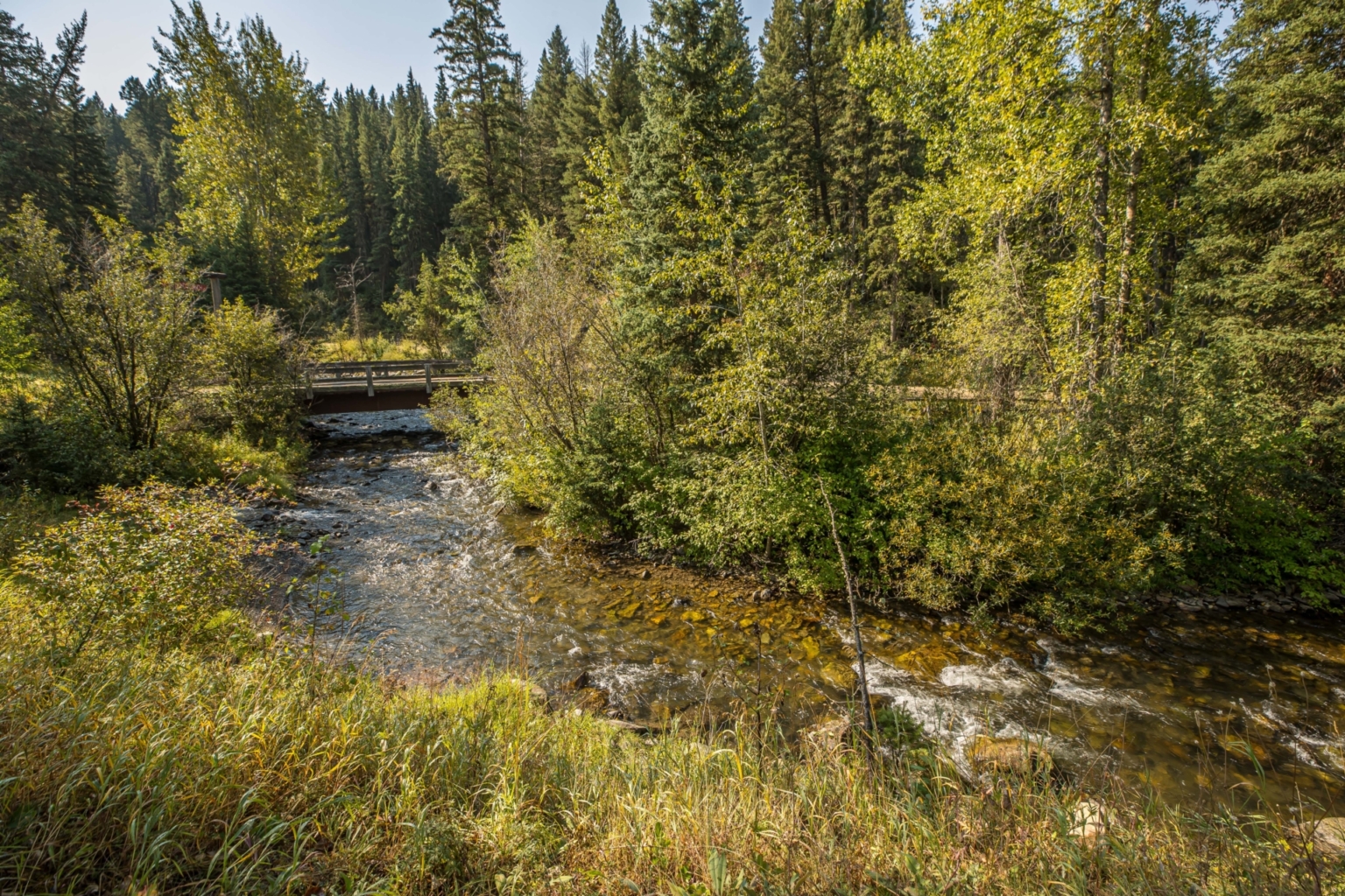 Diamond Rings Ranch Diamond J Ranch | Ennis Montana | Fay Ranches