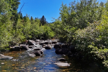 fly fishing land for sale Montana Boulder Creek Lodge