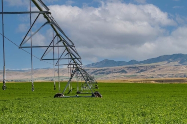 idaho pivots for sale meadowbrook pivots