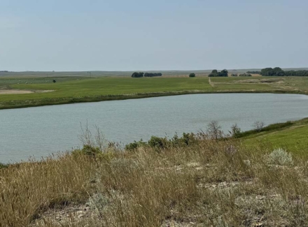 south dakota land for sale dewey county land
