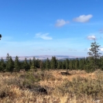 washington land for sale jasper stone hollow