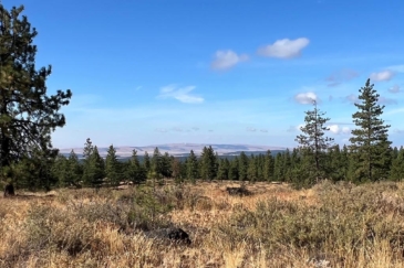 washington land for sale jasper stone hollow